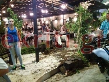 Μάλια: «Γουρούνα» εισέβαλε σε ταβέρνα -Τραυματίστηκε ένα κοριτσάκι [εικόνες] | iefimerida.gr 1