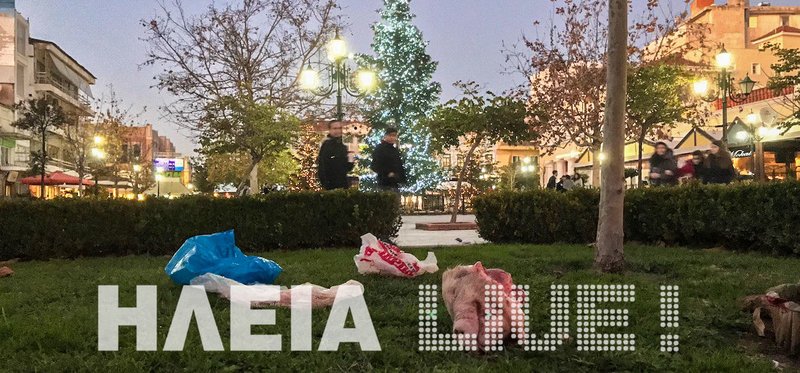 Πέταξαν γουρουνοκεφαλή έξω από το Δημαρχείο Πύργου [εικόνες] | iefimerida.gr 0