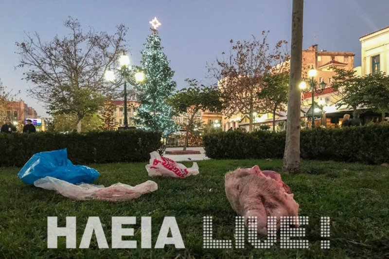 Πέταξαν γουρουνοκεφαλή έξω από το Δημαρχείο Πύργου [εικόνες] | iefimerida.gr 1