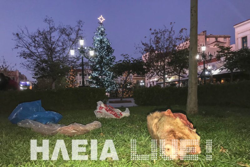 Πέταξαν γουρουνοκεφαλή έξω από το Δημαρχείο Πύργου [εικόνες] | iefimerida.gr 2