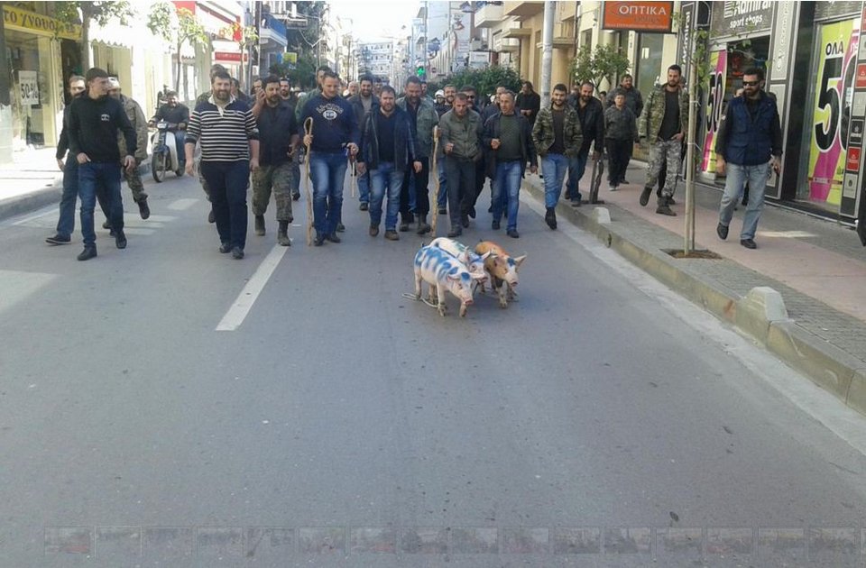 Αγρότες έβαψαν με σπρέι στα γουρούνια τη λέξη «ΣΥΡΙΖΑ» [εικόνες] | iefimerida.gr 3