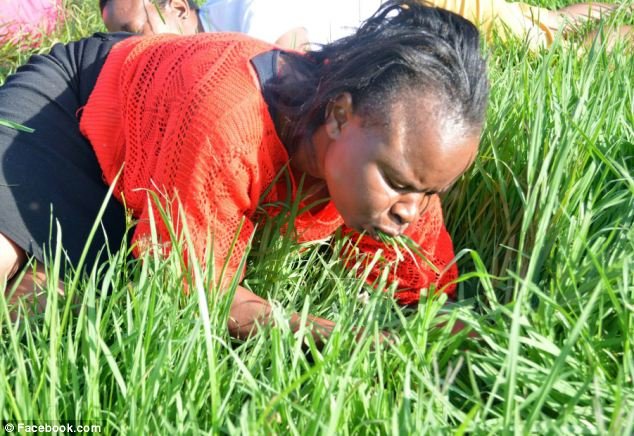 Αηδιαστική συνήθεια στην Νότια Αφρική -Πάστορας βάζει τους πιστούς να τρώνε... γρασίδι [εικόνες] | iefimerida.gr 3