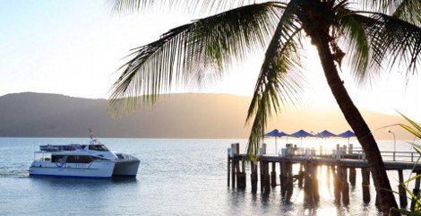 Το χλιδάτο κατάφυτο νησί με το ξενοδοχείο των 300 δωματίων που βγαίνει προς πώληση αντί 60 εκατ. [εικόνες]  | iefimerida.gr 1