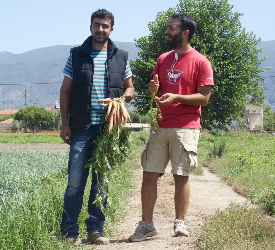 Αφιέρωμα αμερικανικών ΜΜΕ: Η Ελλάδα είναι ο παράδεισος των startup εταιρειών [εικόνες] | iefimerida.gr 1