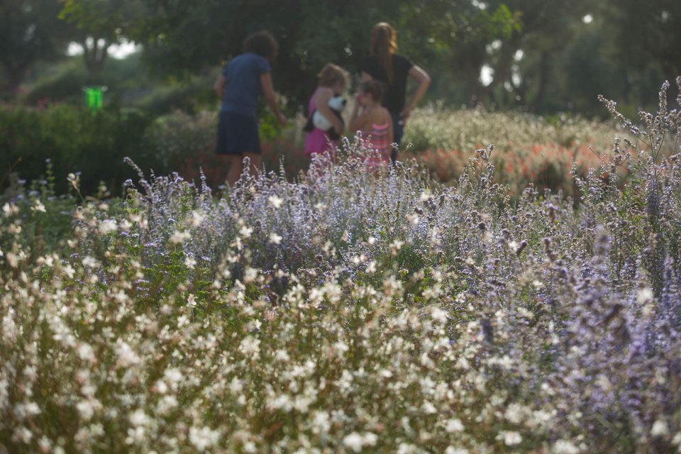 Νοέμβριος στο Κέντρο Επισκεπτών του Ιδρύματος Νιάρχος -Με jazz, yoga και σινεμά [πρόγραμμα] | iefimerida.gr 2