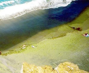 Μοναδική παραλία με πράσινη άμμο στις ακτές της Χαβάης [εικόνες] | iefimerida.gr 0