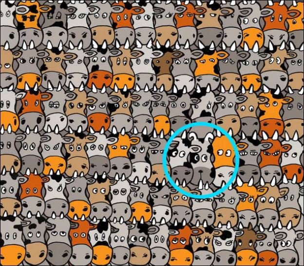 Το κουίζ που σαρώνει: Μπορείτε να βρείτε που είναι κρυμμένος ο σκύλος; [εικόνα] | iefimerida.gr 1