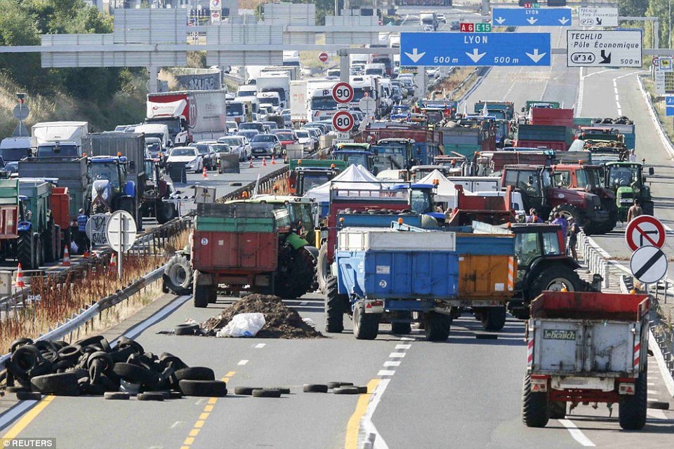 Γάλλοι αγρότες έβαλαν ζωντανά γουρούνια μέσα σε σούπερ μάρκετ [εικόνες]  | iefimerida.gr 3