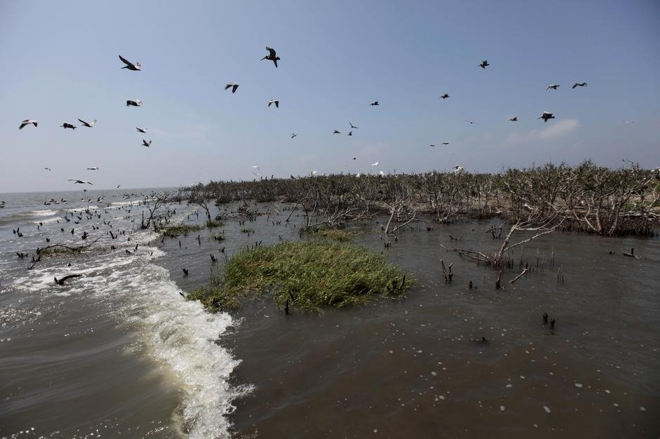 Η πετρελαιοκηλίδα στον κόλπο του Μεξικού εξαφάνισε ολόκληρο νησί [βίντεο] | iefimerida.gr 7