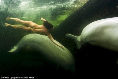 Γυμνή Ρωσίδα παίζει με τις φάλαινες στα παγωμένα νερά της Ανταρκτικής [εικόνα] | iefimerida.gr 0