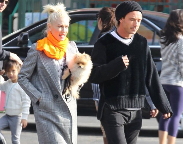 Τα τετράποδα «μωρά» των σταρ - Πιστοί φίλοι ή χνουδωτά αξεσουάρ; [εικόνες] | iefimerida.gr 1