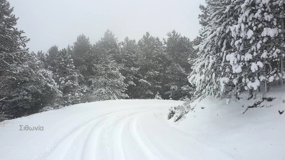 Σε κατάσταση έκτακτης ανάγκης η Χαλκιδική [εικόνες & βίντεο] | iefimerida.gr 2