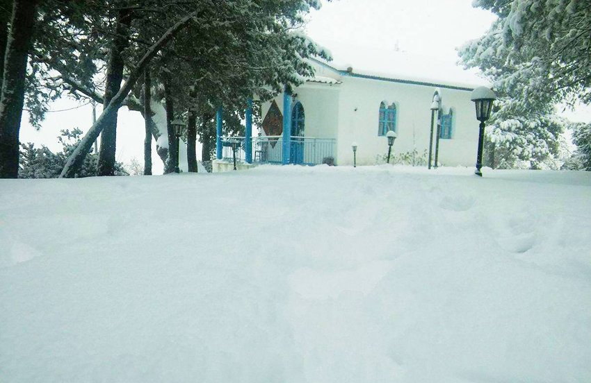 Σε κατάσταση έκτακτης ανάγκης η Χαλκιδική [εικόνες & βίντεο] | iefimerida.gr 4