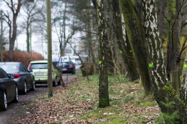 Γερμανοί εμπόδισαν φιλοξενία προσφύγων με αφορμή την προστασία των δέντρων [εικόνες] | iefimerida.gr 0
