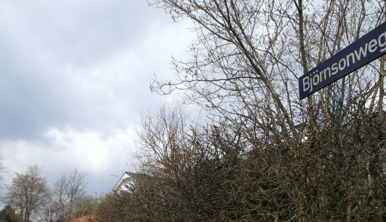 Γερμανοί εμπόδισαν φιλοξενία προσφύγων με αφορμή την προστασία των δέντρων [εικόνες] | iefimerida.gr 1