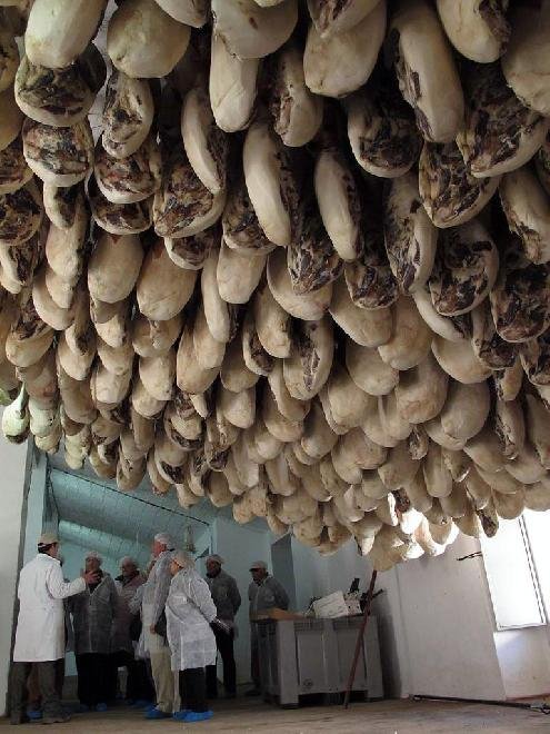 Προσούτο Jamon Iberico, το καλύτερο στον κόσμο -Από μαύρους χοίρους [εικόνες] | iefimerida.gr 8