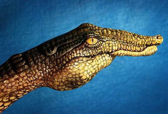 Body Painting: Όταν το καμουφλαζ γίνεται τέχνη [εικόνες] | iefimerida.gr 5