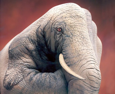 Body Painting: Όταν το καμουφλαζ γίνεται τέχνη [εικόνες] | iefimerida.gr 2