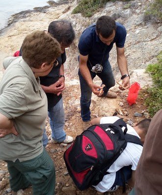 Χανιά: Περιπατητές βρήκαν ανθρώπινα οστά -Εκεί είχε πέσει Γερμανικό αεροπλάνο το 1941 [εικόνα] | iefimerida.gr 0