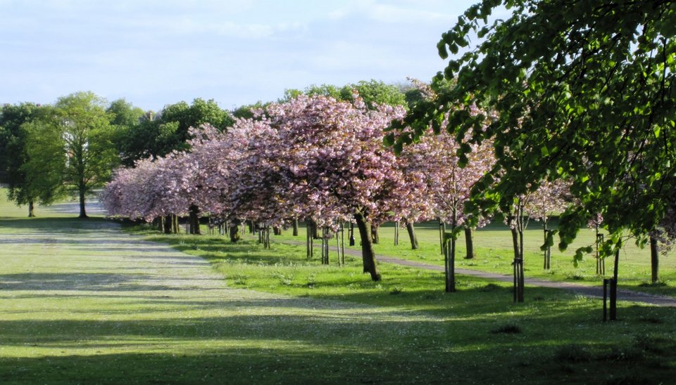 Αρογκέιτ: Το πιο ευτυχισμένο μέρος της Αγγλίας [εικόνες] | iefimerida.gr 6