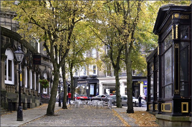 Αρογκέιτ: Το πιο ευτυχισμένο μέρος της Αγγλίας [εικόνες] | iefimerida.gr 1