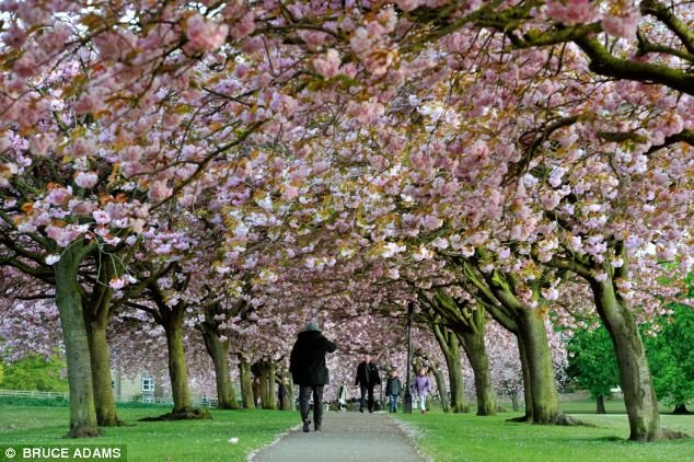 Αρογκέιτ: Το πιο ευτυχισμένο μέρος της Αγγλίας [εικόνες] | iefimerida.gr 7