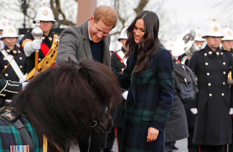 Παραλίγο ατύχημα -Πόνι προσπάθησε να δαγκώσει τον πρίγκιπα Χάρι [εικόνες και βίντεο]  | iefimerida.gr 2