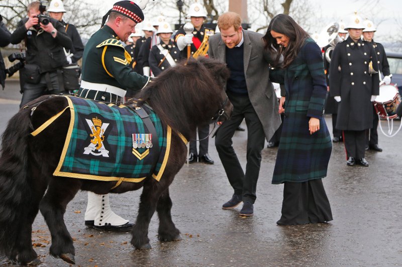 Παραλίγο ατύχημα -Πόνι προσπάθησε να δαγκώσει τον πρίγκιπα Χάρι [εικόνες και βίντεο]  | iefimerida.gr 0