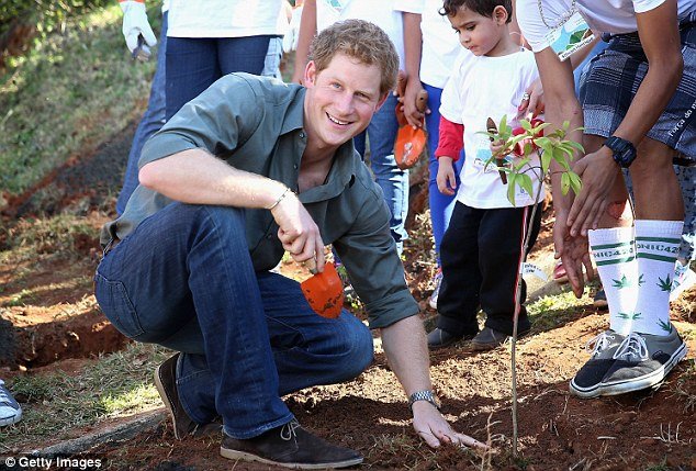 Ο πρίγκιπας Χάρι καταϊδρωμένος τσαπίζει -Αποβιβάστηκε από το τζετ για να φυτέψει δέντρα στο Σάο Πάολο [εικόνες] | iefimerida.gr 7