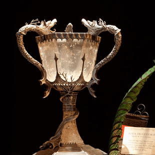 Βρυξέλλες: 100.000 άτομα στα εγκαίνια της έκθεσης του Χάρι Πότερ [εικόνες&βίντεο] | iefimerida.gr 2