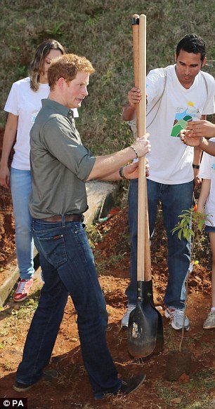 Ο πρίγκιπας Χάρι καταϊδρωμένος τσαπίζει -Αποβιβάστηκε από το τζετ για να φυτέψει δέντρα στο Σάο Πάολο [εικόνες] | iefimerida.gr 0