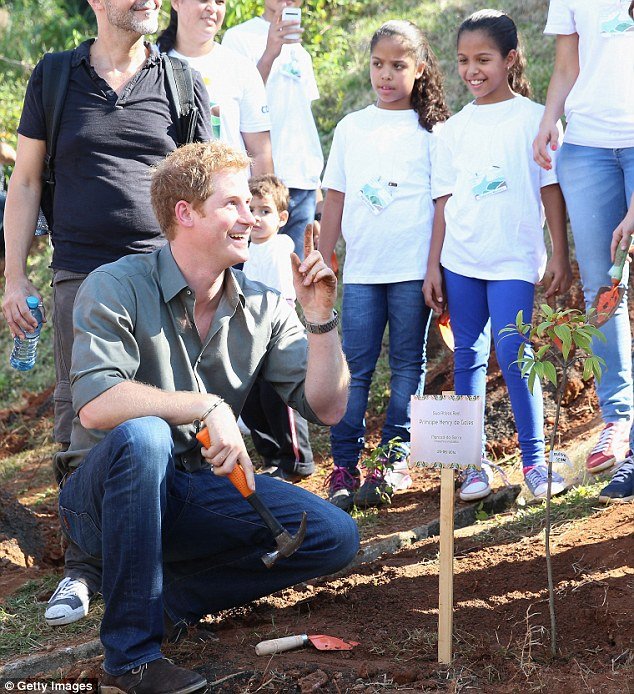 Ο πρίγκιπας Χάρι καταϊδρωμένος τσαπίζει -Αποβιβάστηκε από το τζετ για να φυτέψει δέντρα στο Σάο Πάολο [εικόνες] | iefimerida.gr 6