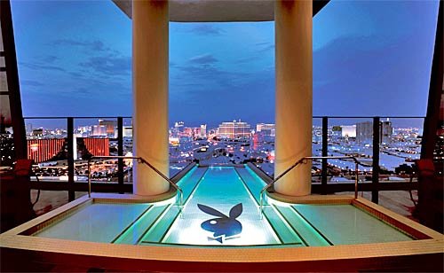 Πώς ζουν τα κουνελάκια εσώκλειστα -Οι κανόνες, οι απαγορεύσεις και οι χαμένες Πόρσε [εικόνες] | iefimerida.gr 7