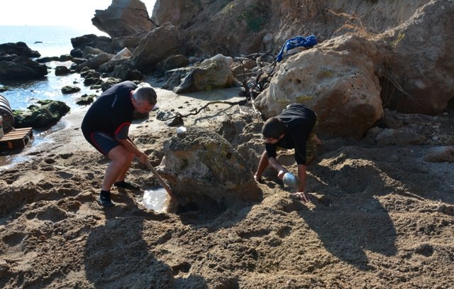  Απολιθωμένες χελώνες 3 εκατ. ετών ανακαλύφθηκαν στην Πιερία- Η μία ζυγίζει 800 κιλά [εικόνες] | iefimerida.gr 1