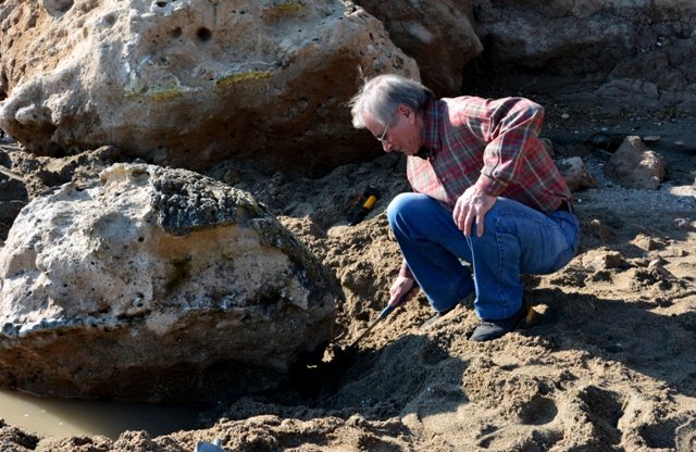 Απολιθωμένες χελώνες 3 εκατ. ετών ανακαλύφθηκαν στην Πιερία- Η μία ζυγίζει 800 κιλά [εικόνες] | iefimerida.gr 2