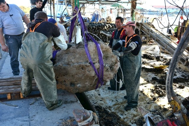  Απολιθωμένες χελώνες 3 εκατ. ετών ανακαλύφθηκαν στην Πιερία- Η μία ζυγίζει 800 κιλά [εικόνες] | iefimerida.gr 3