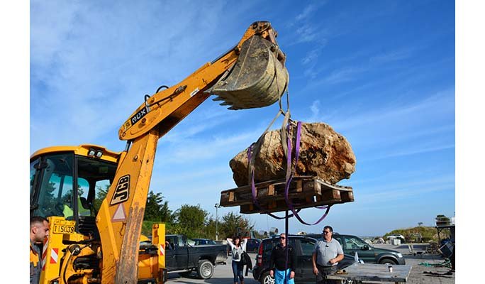  Απολιθωμένες χελώνες 3 εκατ. ετών ανακαλύφθηκαν στην Πιερία- Η μία ζυγίζει 800 κιλά [εικόνες] | iefimerida.gr 4