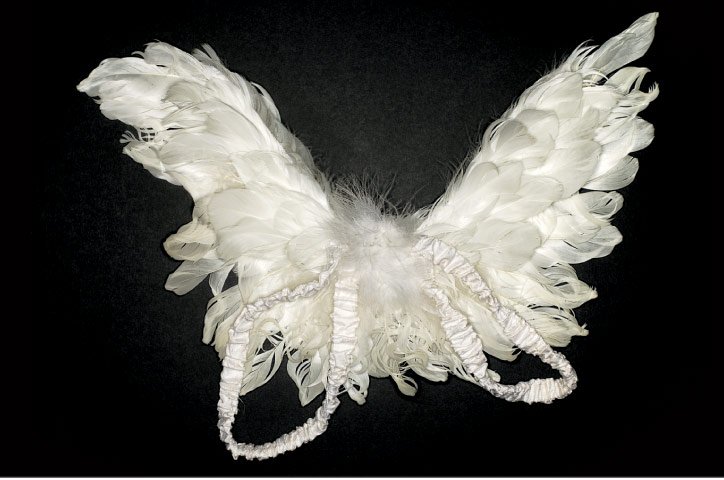 Τα φετίχ του Μάικλ Τζάκσον  -Τρελά, μεγαλομανή, επικά αντικείμενα [εικόνες] | iefimerida.gr 7