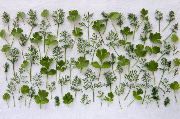 Τζέιμι Ολιβερ: Οι 14 σούπερ τροφές για να ζήσουμε ως τα 100 χρόνια [εικόνες] | iefimerida.gr 4