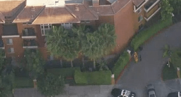 Τραγωδία στο Χόλιγουντ: Ράπερ σκότωσε με 10 σφαίρες τη σύντροφό του και αυτοκτόνησε [εικόνες] | iefimerida.gr 4