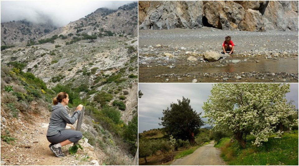 Βρετανικό site αποθεώνει την Κρήτη: Το καλύτερο νησί για οικογενειακές διακοπές [εικόνες] | iefimerida.gr 11