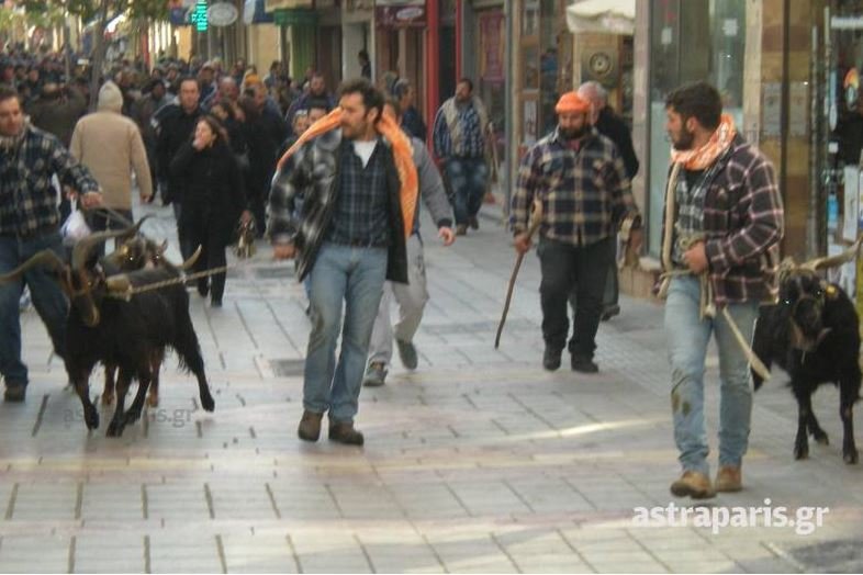 Κτηνοτρόφοι έκλεισαν το κέντρο της Χίου με κατσίκες και τράγους- Τα έδεσαν στο κτίριο της Περιφέρειας [εικόνες & βίντεο]  | iefimerida.gr 2