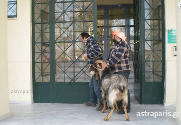 Κτηνοτρόφοι έκλεισαν το κέντρο της Χίου με κατσίκες και τράγους- Τα έδεσαν στο κτίριο της Περιφέρειας [εικόνες & βίντεο]  | iefimerida.gr 1