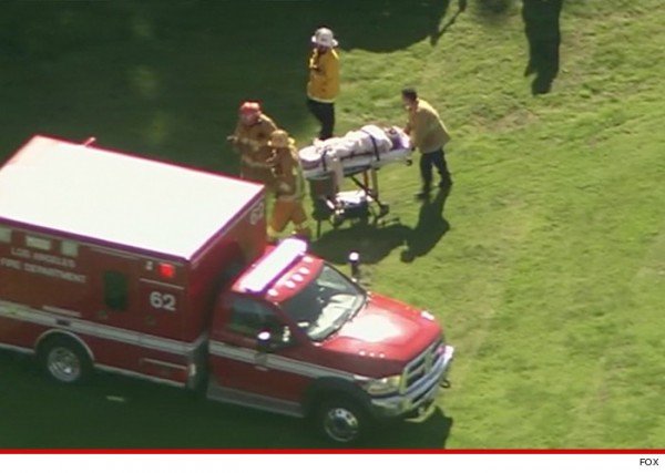 Οι δραματικές ώρες του Χάρισον Φορντ [εικόνες & βίντεο] | iefimerida.gr 1