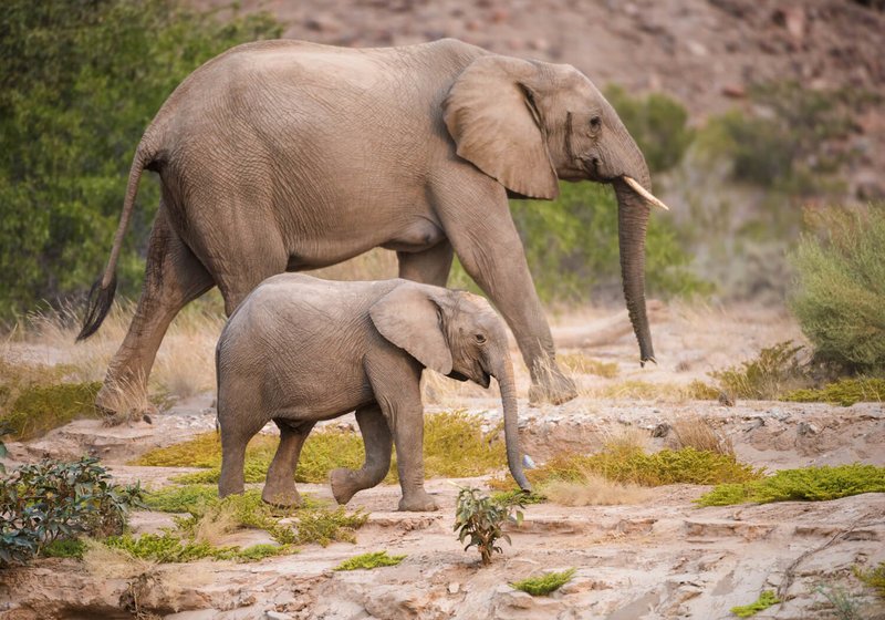 Εδώ θα περάσουν τον μήνα του μέλιτος ο πρίγκιπας Χάρι και η Μέγκαν Μαρκλ [εικόνες]  | iefimerida.gr 4