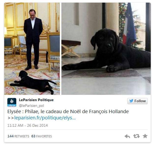 Αυτό είναι το λαμπραντόρ που έκαναν δώρο στον Φρανσουά Ολάντ [εικόνες] | iefimerida.gr 1