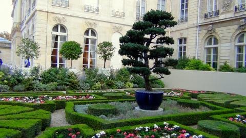 Αυτό είναι το λαμπραντόρ που έκαναν δώρο στον Φρανσουά Ολάντ [εικόνες] | iefimerida.gr 6