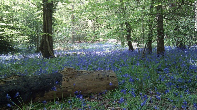 Ταξιδέψτε εκεί που γυρίστηκε το «Star Wars» - 10 σκηνικά της ταινίας που υπάρχουν πραγματικά [εικόνες]  | iefimerida.gr 6