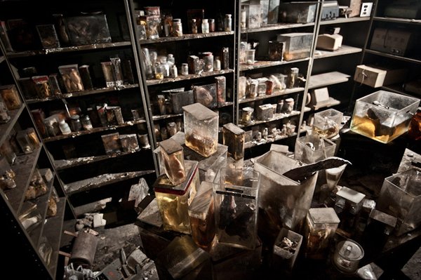 Η πιο τρομακτική κτηνιατρική σχολή του κόσμου όπου το εσωτερικό της μοιάζει με ταινία τρόμου [εικόνες]  | iefimerida.gr 10