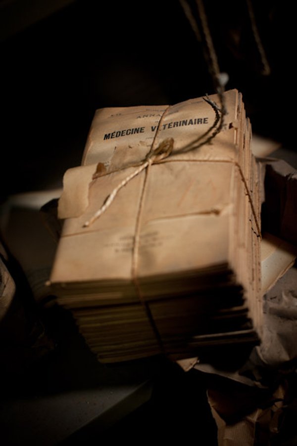 Η πιο τρομακτική κτηνιατρική σχολή του κόσμου όπου το εσωτερικό της μοιάζει με ταινία τρόμου [εικόνες]  | iefimerida.gr 11